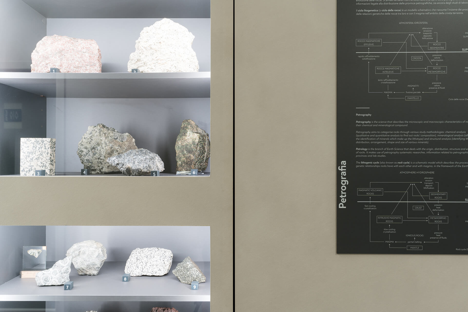 Dettaglio di modulo espositivo museale con teca illuminata incassata all’interno di una parete attrezzata, contenente campioni di rocce classificati e disposti su ripiani orizzontali con supporti numerati per l’identificazione. I reperti, caratterizzati da differenti composizioni e texture, sono organizzati secondo criteri petrografici e presentati in una sequenza didattica che consente il confronto visivo tra le diverse tipologie litologiche. L’illuminazione integrata perimetrale della vetrina garantisce una luce diffusa e uniforme, idonea alla corretta lettura delle superfici e delle strutture dei campioni. Accanto alla teca è visibile un pannello informativo verticale con grafici e testi esplicativi relativi alla petrografia e al ciclo litogenetico, inserito nel sistema grafico coordinato dell’allestimento e progettato per accompagnare l’osservazione dei materiali esposti. La pannellatura continua di colore neutro integra le teche e i supporti informativi in un unico elemento modulare, mentre le superfici interne delle nicchie, di tonalità più scura, migliorano la percezione dei campioni. L’immagine documenta un allestimento museale permanente dedicato alla divulgazione delle scienze della Terra, in cui arredi espositivi, apparati didattici e illuminazione tecnica sono progettati come sistema unitario per garantire chiarezza espositiva, conservazione dei reperti e facilità di fruizione.