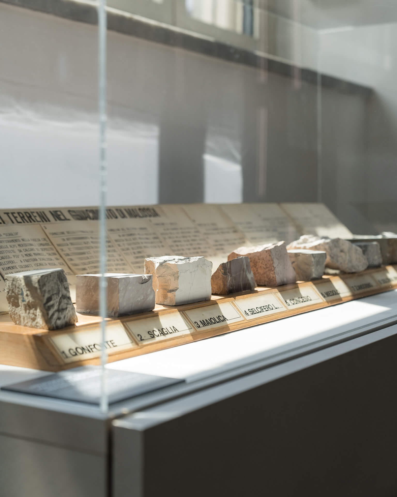 Dettaglio di teca espositiva museale contenente campioni litologici disposti in sequenza su supporto inclinato, all’interno di una vetrina protettiva in vetro. I frammenti di roccia, tagliati in blocchi di dimensioni regolari, sono allineati su una base lignea con etichette identificative numerate e denominazioni litologiche, organizzate secondo un criterio stratigrafico e didattico. Sul pannello di fondo è visibile una tabella esplicativa relativa alla classificazione dei terreni nel contesto geologico locale, utilizzata come supporto informativo per l’interpretazione dei campioni esposti. L’illuminazione naturale proveniente lateralmente evidenzia le differenti texture, granulometrie e colorazioni delle rocce, mentre la teca in vetro garantisce la protezione dei reperti e al tempo stesso la loro corretta visibilità. Il supporto espositivo è inserito su un basamento integrato nel sistema di allestimento, coerente con gli altri elementi museografici presenti nello spazio. L’immagine documenta un dispositivo espositivo didattico destinato alla divulgazione delle scienze della Terra, progettato per consentire il confronto diretto tra campioni e supporti informativi, all’interno di un allestimento museale permanente caratterizzato da soluzioni modulari e illuminazione controllata.